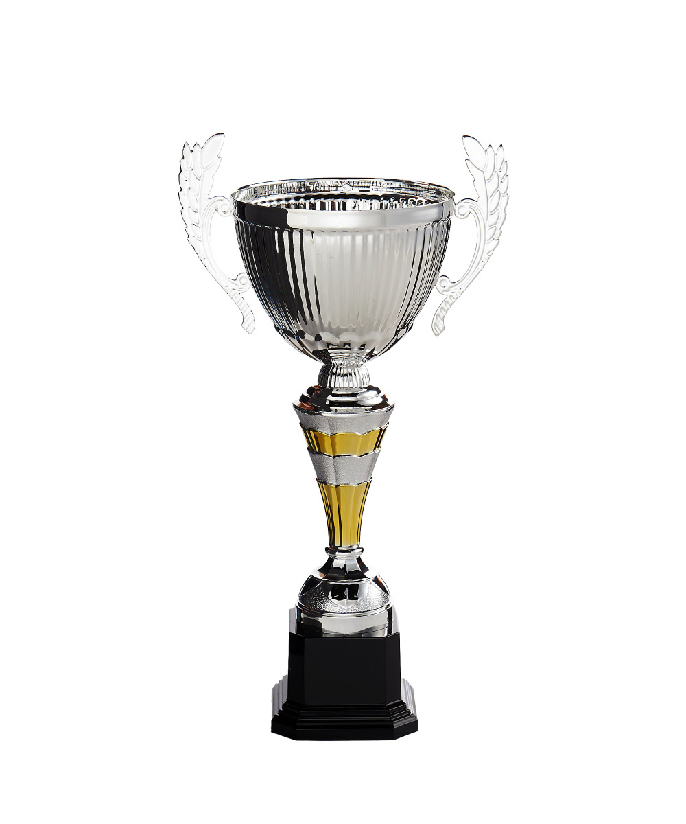 COUPE SPORTIVE - ARGENT ET OR - GAMME CLASSIQUE AVEC ANSES ET BOL EN METAL - REF C625 - PROMO-TROPHEE
