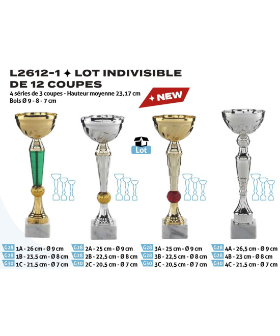 Lot Indivisible 12 Coupes avec Bol Métal | Achat en Ligne