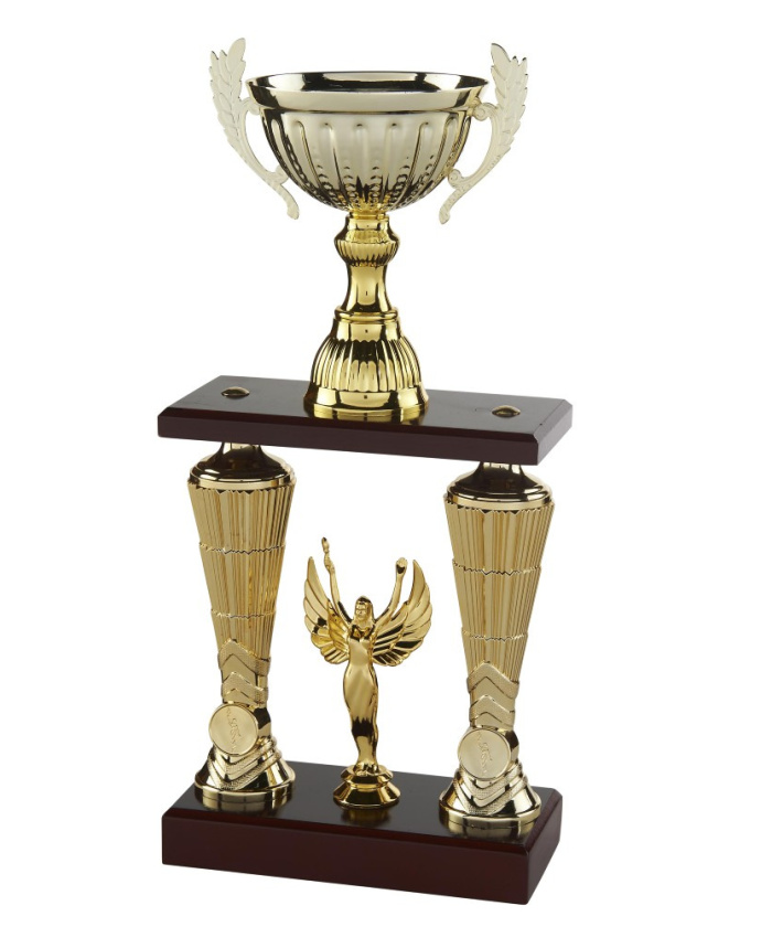 TROPHEE 2 COLONNES VICTOIRE / MULTISPORTS OR ET BOIS - REF TC25 - PROMO TROPHEE