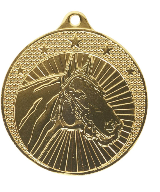 Médaille Tête de Cheval en Fer Ø 50 mm | Médaillon Équestre Durable