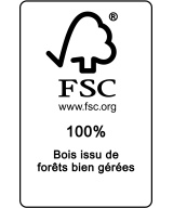 Trophée Football 20 cm en Chêne & Résine | Réf. B22B-07
